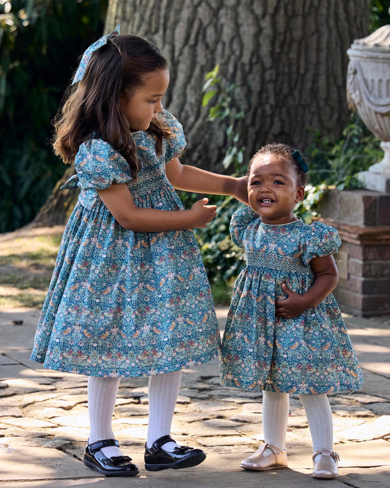 Lily Rose Dress Baby Strawberry Thief Party Dress