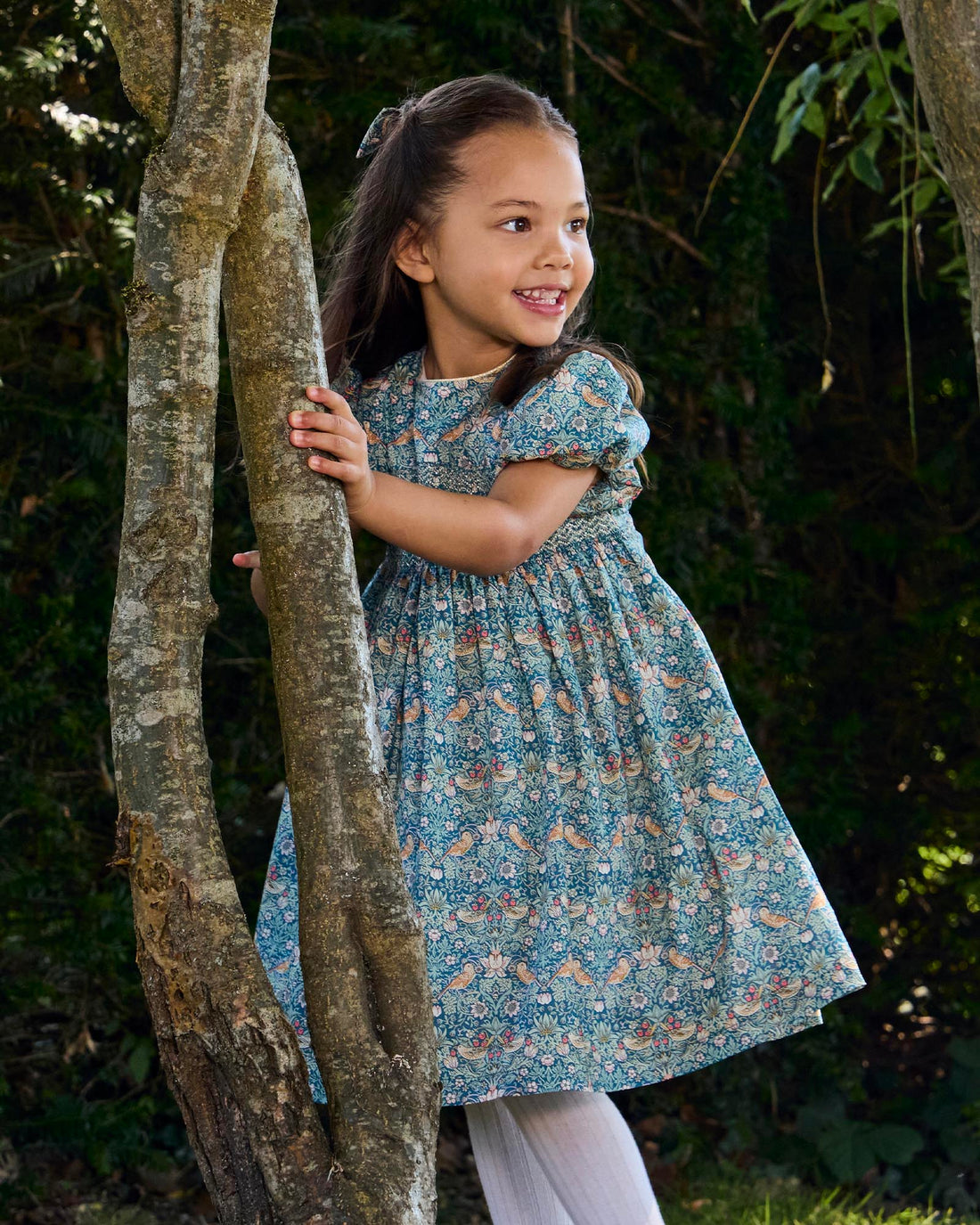 Lily Rose Dress Strawberry Thief Smocked Party Dress