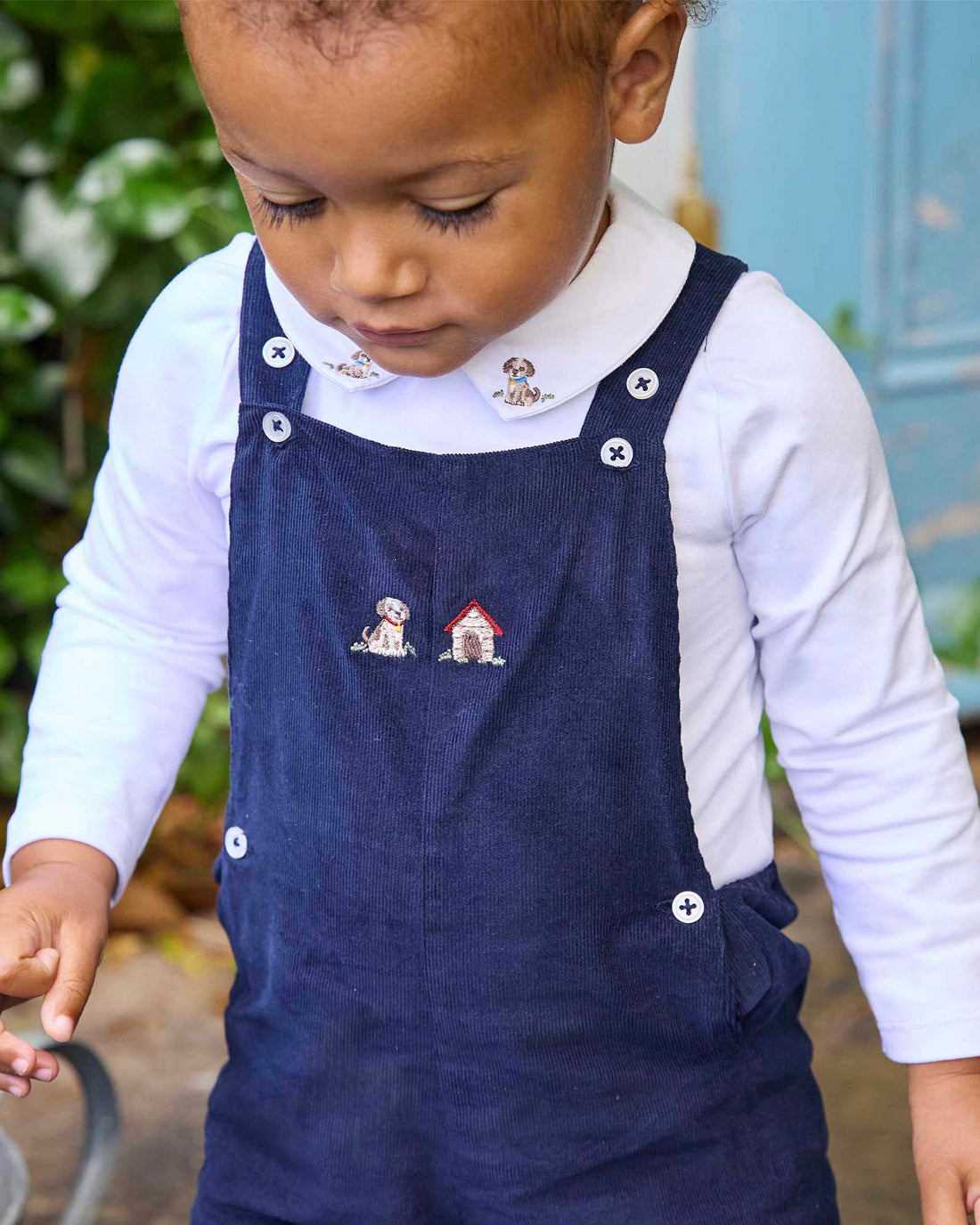 Chelsea Clothing Company Bib Shorts Baby Alfie Bib Shorts in Puppy