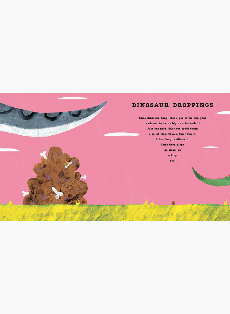 Simon Mole Book A First Book of Dinosaurs Book