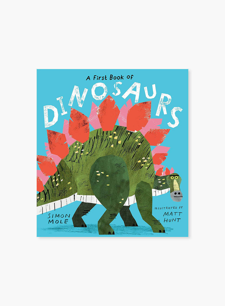 Simon Mole Book A First Book of Dinosaurs Book