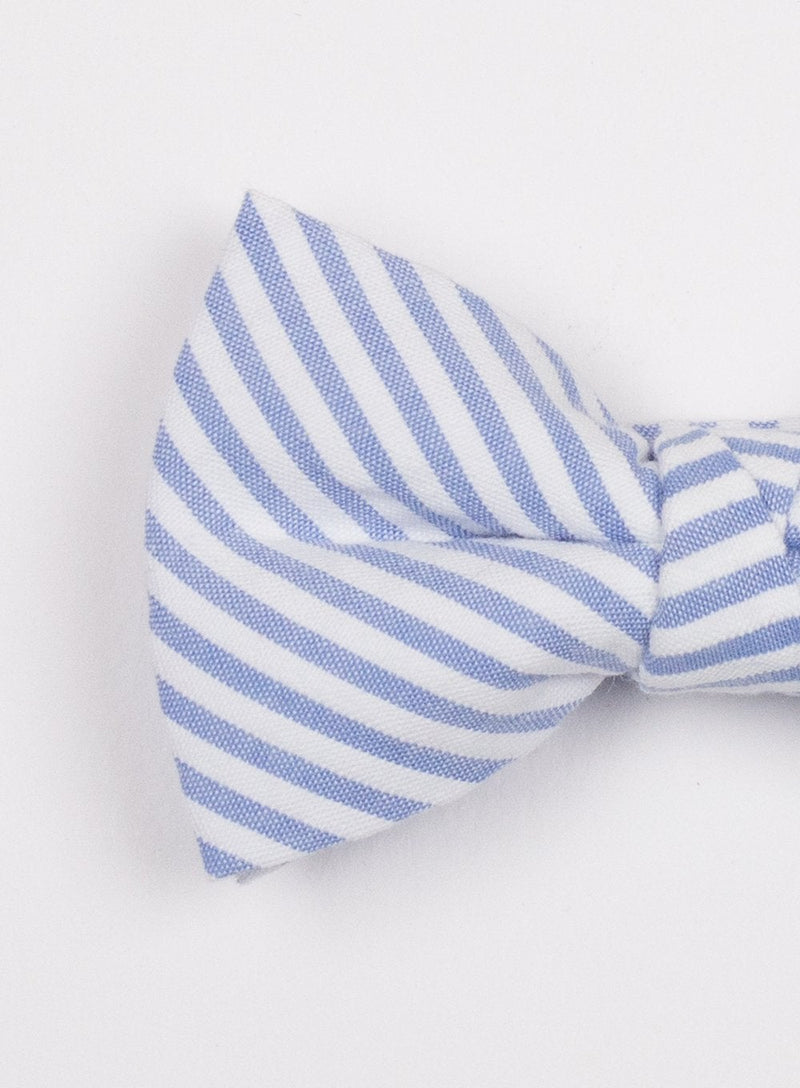 Thomas Brown Bow Tie Bow Tie in Blue Stripe