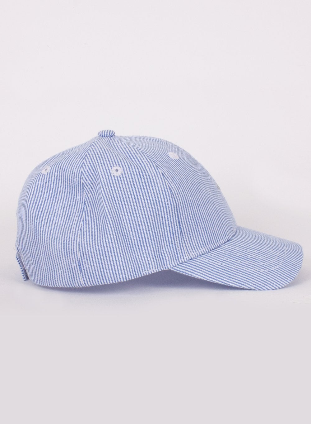 Thomas Brown Cap Charlie Cap in Blue Stripe
