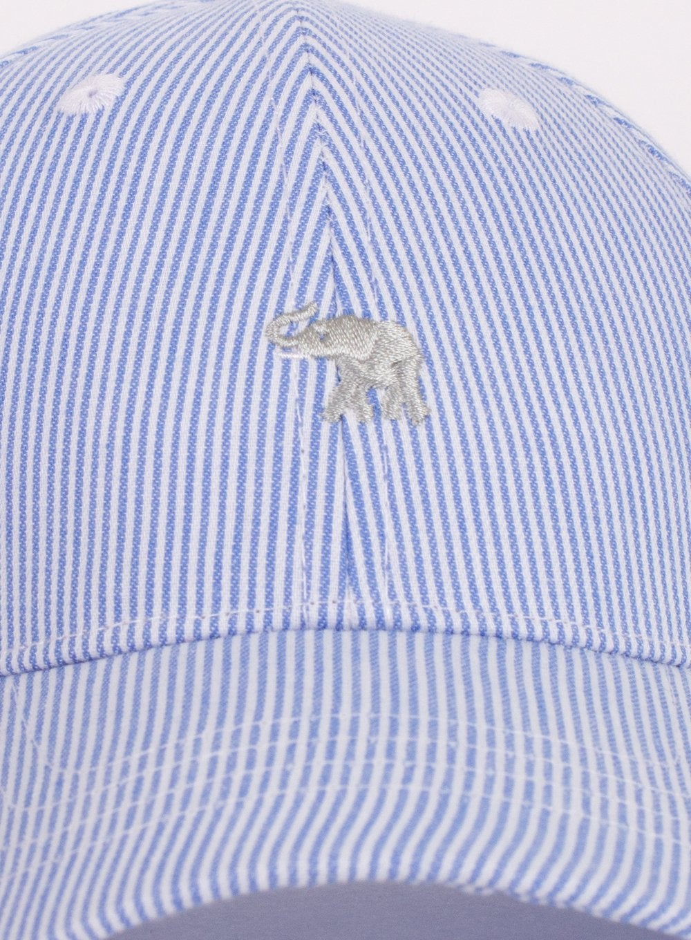 Thomas Brown Cap Charlie Cap in Blue Stripe