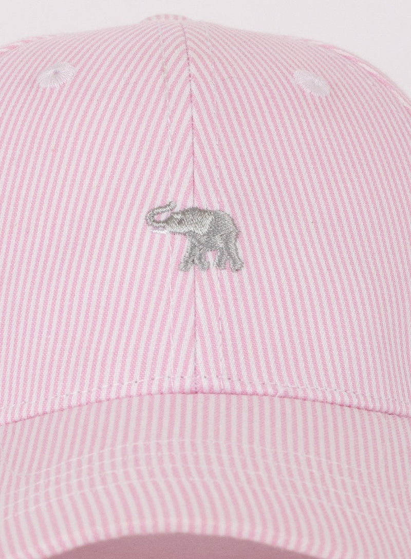 Thomas Brown Cap Charlie Cap in Pink Stripe