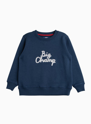 Thomas Brown Jumper Big Champ Sweater
