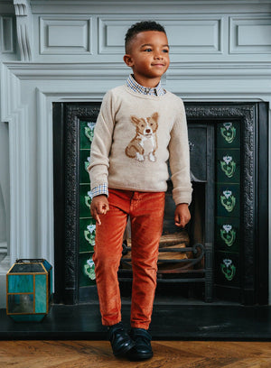 Thomas Brown Jumper Corgi Jumper