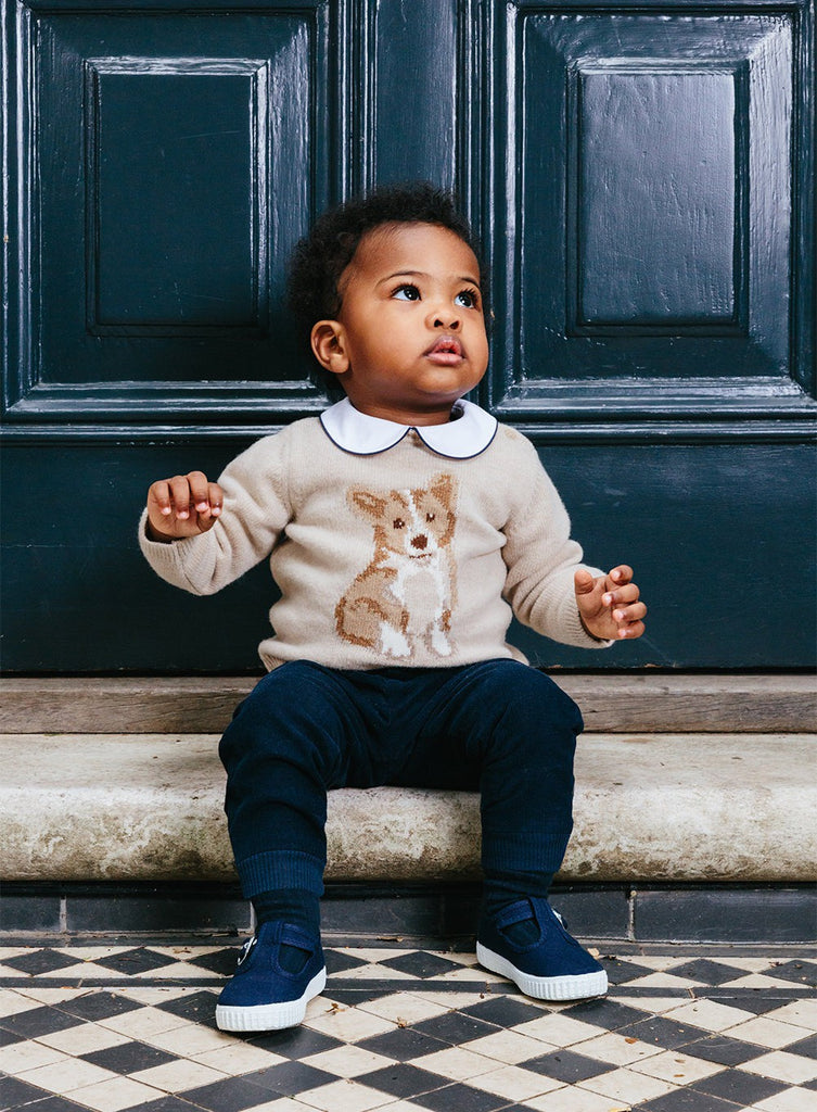 Thomas Brown Jumper Little Corgi Jumper