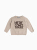 Thomas Brown Jumper Little Here Comes Trouble Jumper