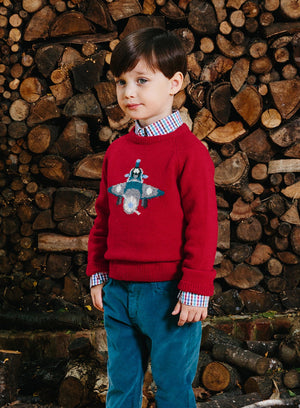 Thomas Brown Jumper Percy Plane Jumper