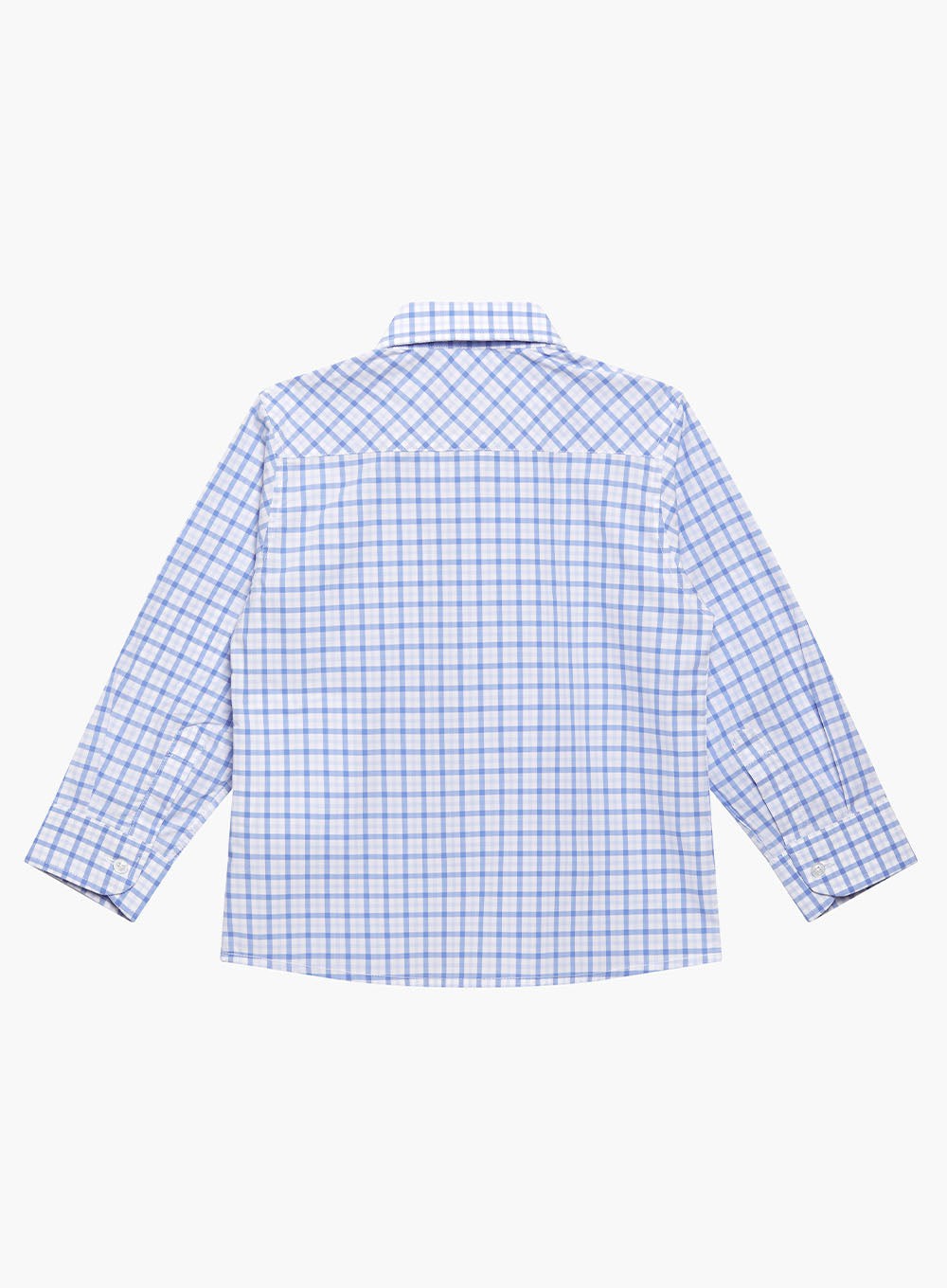 Thomas Brown Shirt Thomas Shirt in Blue Check