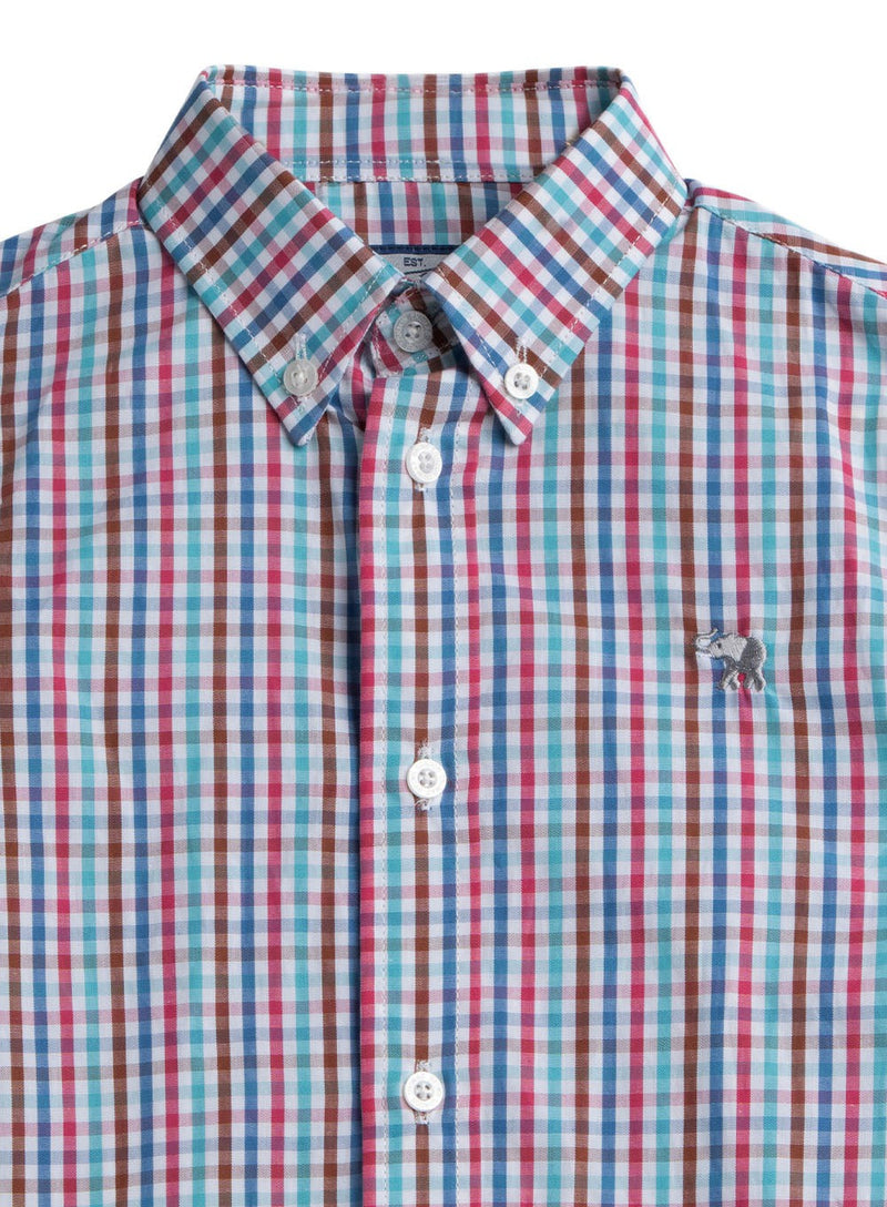 Thomas Brown Shirt Thomas Shirt in Burgundy Check
