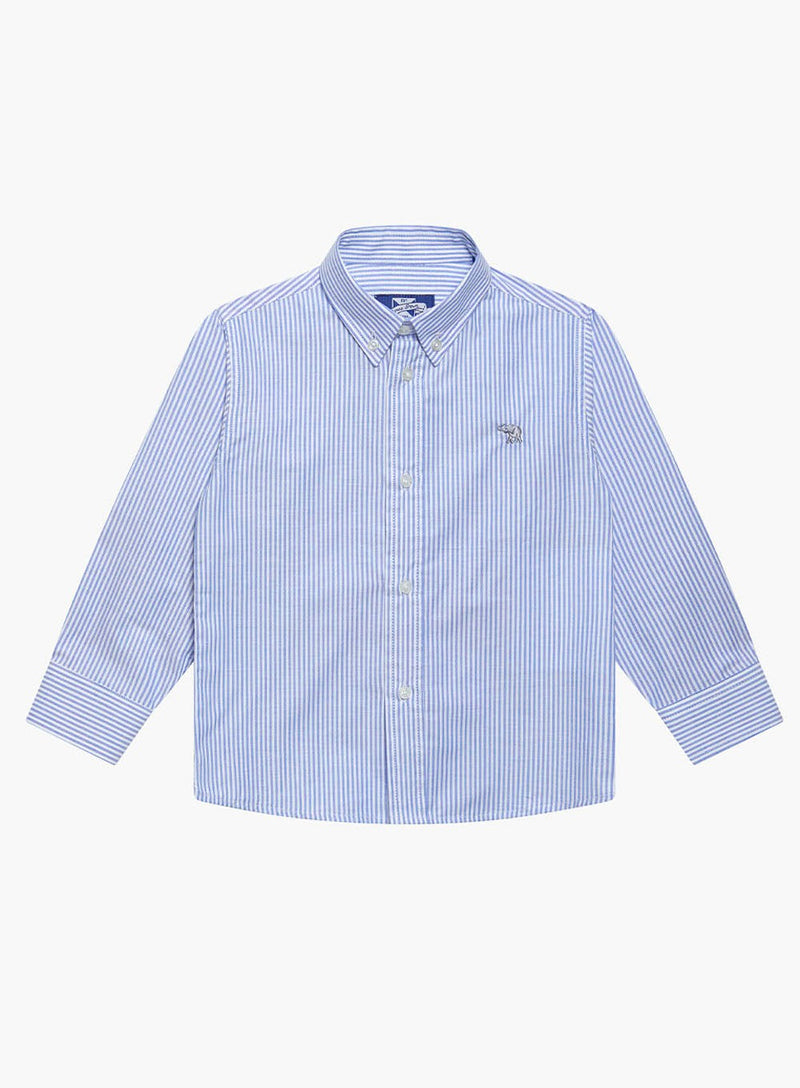 Thomas Brown Shirt Thomas Shirt in Navy Striped