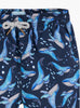 Trotters Swim Swimshorts Baby Swimshorts in Whale