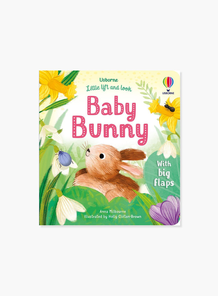 Usborne Book Little Lift and Look Baby Bunny