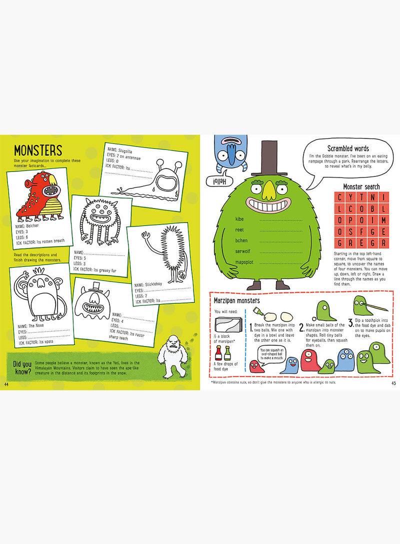 Usborne Book Usborne's Amazing Activity Book