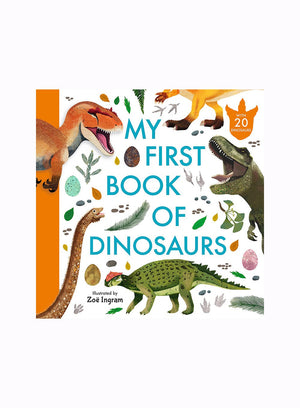 Zoë Ingram Book My First Book of Dinosaurs