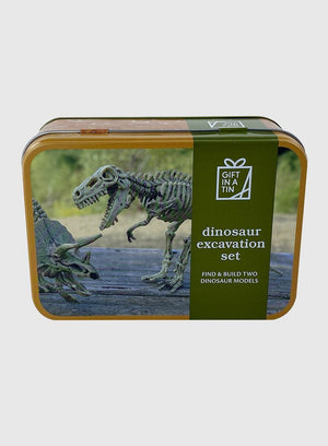 Apples to Pears Toy Dinosaur Excavation Kit - Trotters Childrenswear