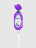 Barnier Sweets Barnier Lollipop in Grape Flavour - Trotters Childrenswear