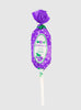 Barnier Sweets Barnier Lollipop in Grape Flavour - Trotters Childrenswear