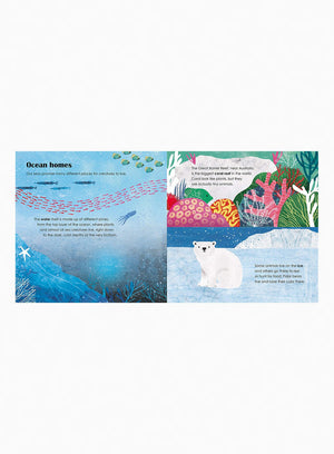 Carmen Saldana Book Seas: a Lift-the-Flap Eco Book