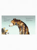 Catherine Rayner Book Five Bears - A tale of Difference and Friendship