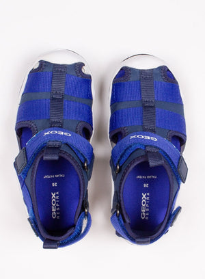 Geox Sandals Geox Jr Wader Sandals - Trotters Childrenswear