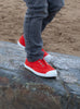 Hampton Canvas Canvas Shoes Hampton Canvas Plum Plimsolls in Red