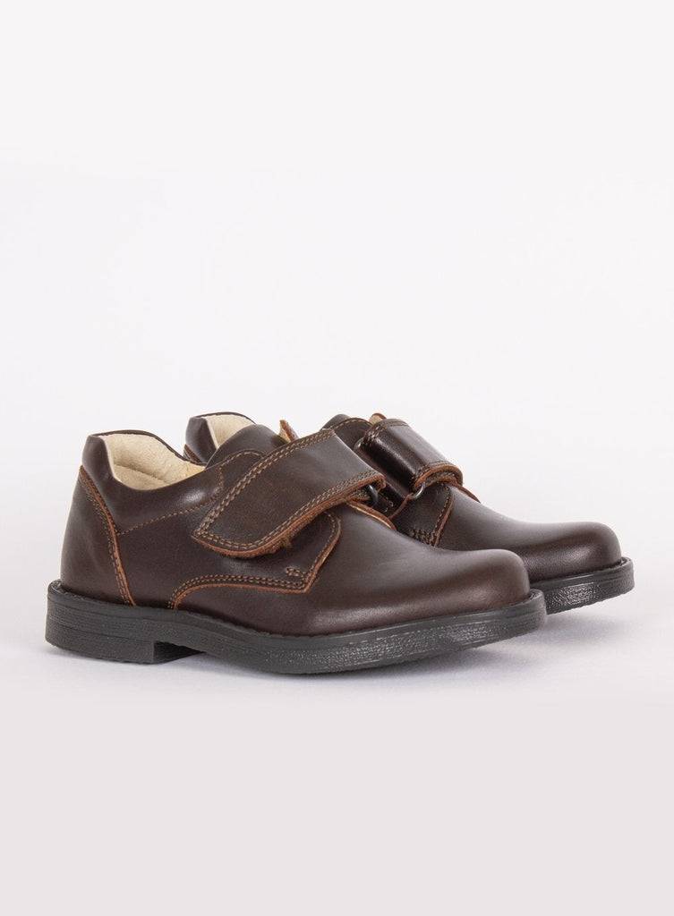 Hampton Classics George School Shoes in Brown | Trotters