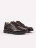 Hampton Classics School Shoes Hampton Classics Hamish School Shoes in Brown - Trotters Childrenswear