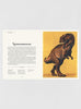 Lily Murray Book Dinosaurium Hardback Book