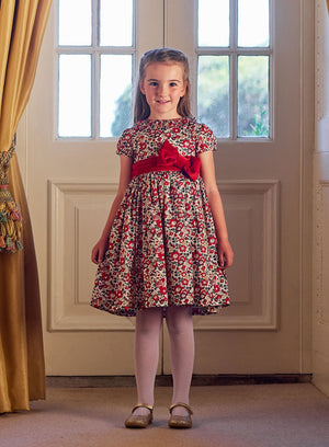 Lily Rose Dress Betsy Willow Dress