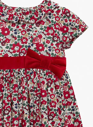Lily Rose Dress Betsy Willow Dress