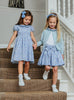 Lily Rose Dress Dress in Blue Danjo
