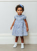 Lily Rose Dress Little Dress in Blue Danjo