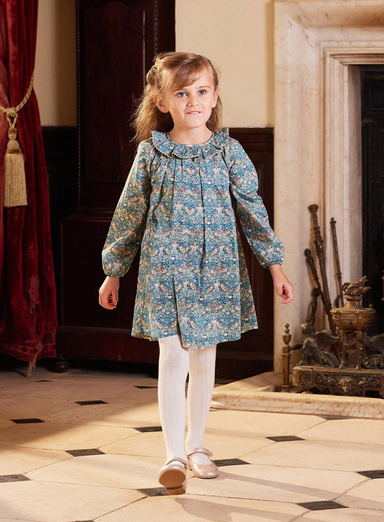 Lily Rose Dress Strawberry Thief Willow Dress