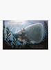Rachel Bright Book The Whale Who Wanted More Board Book