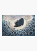 Rachel Bright Book The Whale Who Wanted More Board Book