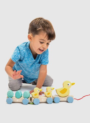 Tender Leaf Toys Toy Pull Along Ducks Toy - Trotters Childrenswear