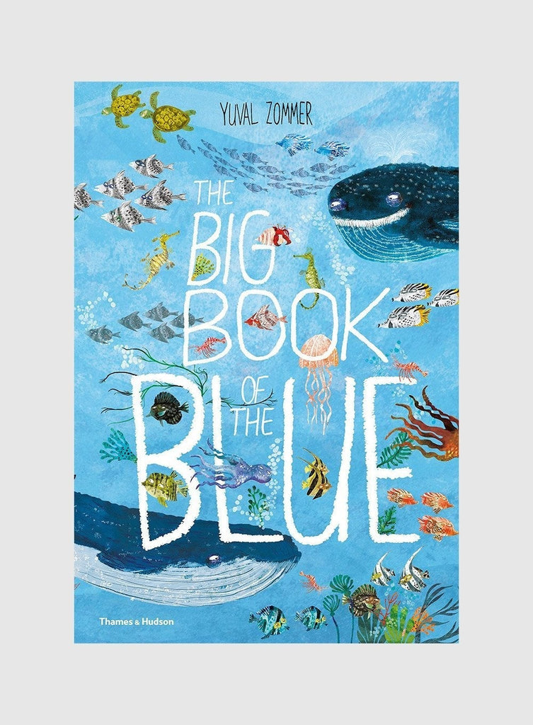 Thames & Hudson Book The Big Book of the Blue Hardback Book