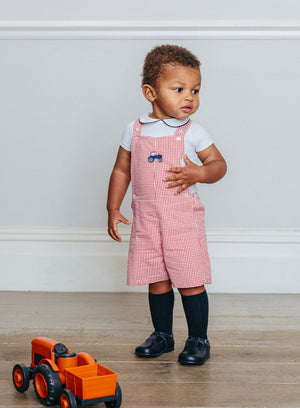 Thomas Brown Bib Shorts Little Alexander Bib Shorts in Red Gingham