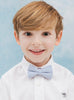 Thomas Brown Bow Tie Bow Tie in Blue Stripe - Trotters Childrenswear