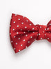 Thomas Brown Bow Tie Bow Tie in Red Polka Dot - Trotters Childrenswear