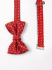 Thomas Brown Bow Tie Bow Tie in Red Polka Dot