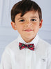 Thomas Brown Bow Tie Bow Tie in Red Tartan