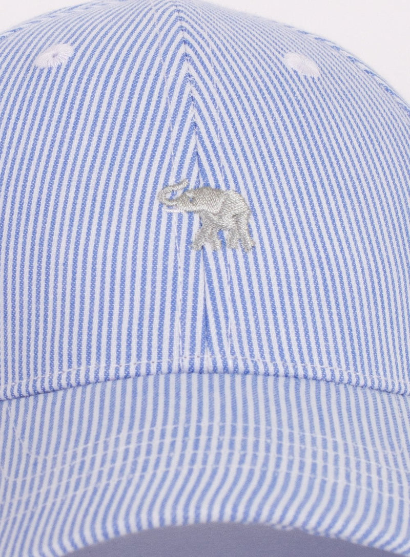 Thomas Brown Hat Charlie Cap in Blue Stripe - Trotters Childrenswear