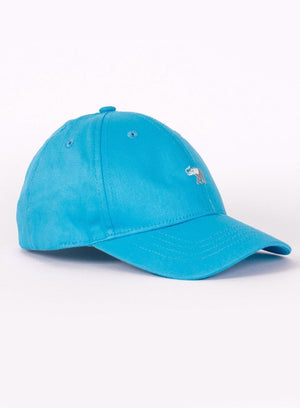 Thomas Brown Hat Charlie Cap in Sky Blue