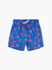 Trotters Swim Swim Shorts Boys Swimshorts in Starfish