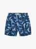 Trotters Swim Swim Shorts Boys Swimshorts in Whale