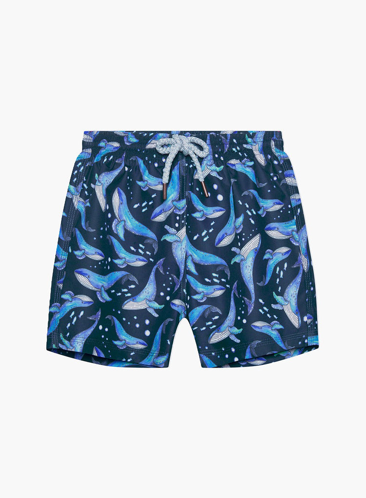 Trotters Swim Swim Shorts Boys Swimshorts in Whale